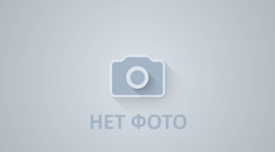 Саморезы 25*5,5 мм (8017 коричневый), шт